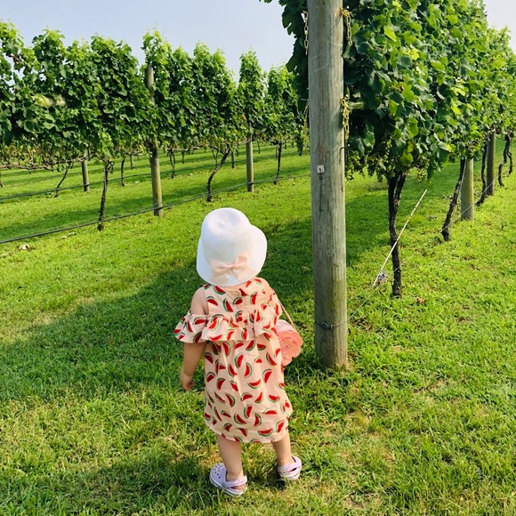 Janie and Jack watermelon summer dress ruffle cold shoulder size 2t - Picture 2 of 11